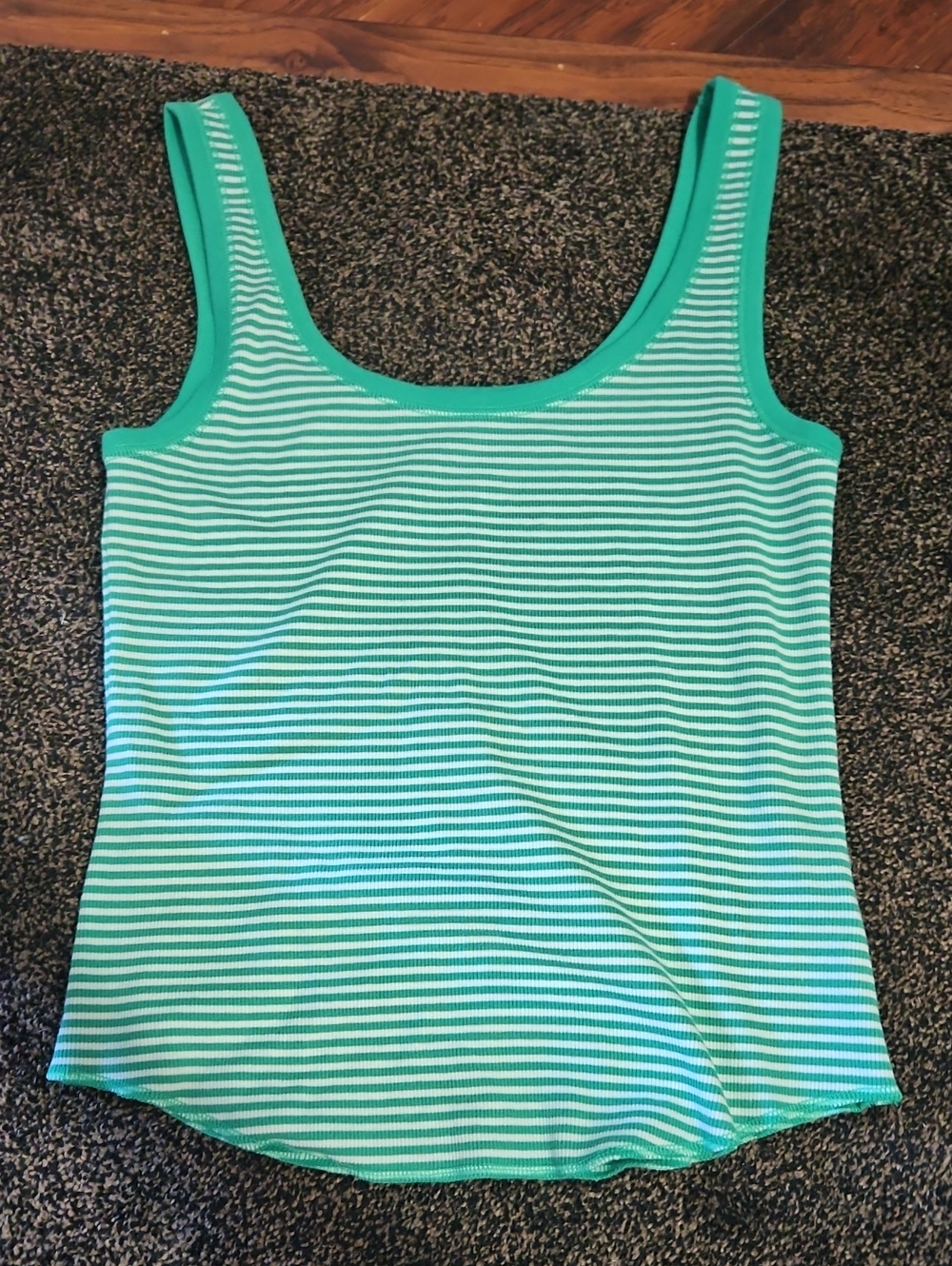 AERIE Women's Striped Scoop Neck Tank Top - Green